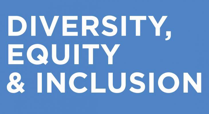 Diversity, Equity and Inclusion Initiative Update