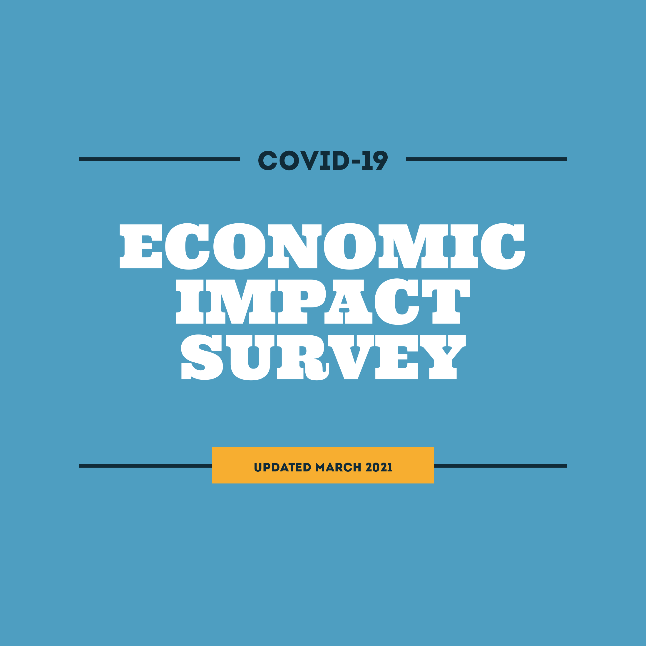 COVID-19 Economic Impact Survey: March 2021