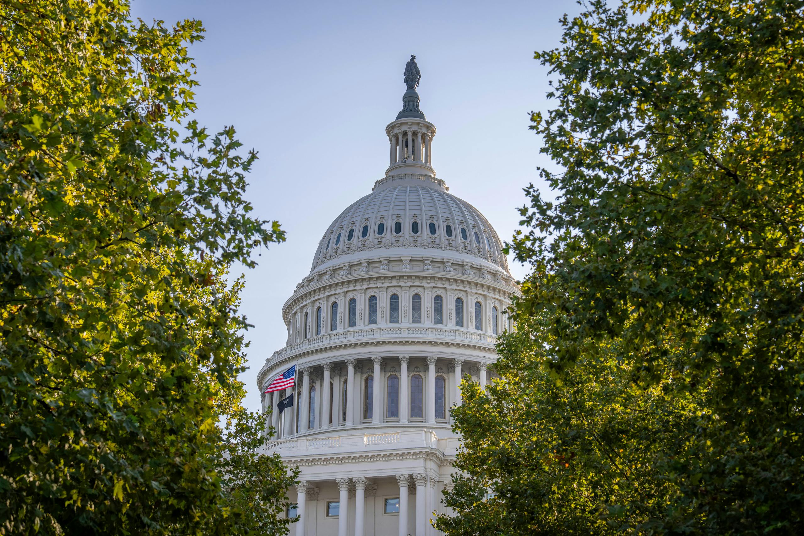 Elegant view of the US Capitol dome framed by trees, bathed in warm sunset light, Washington D.C.